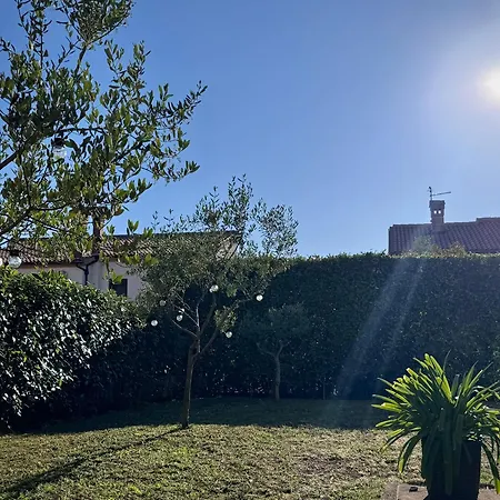 Novigrad Garden