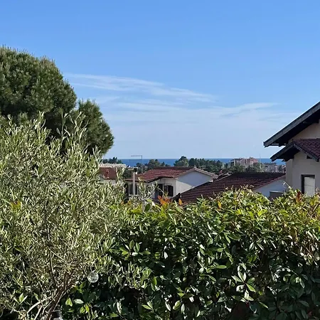 Novigrad Garden Apartman *
