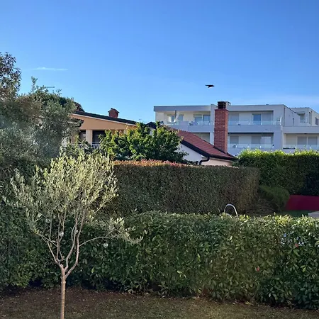 Novigrad Garden * Novigrad Istria